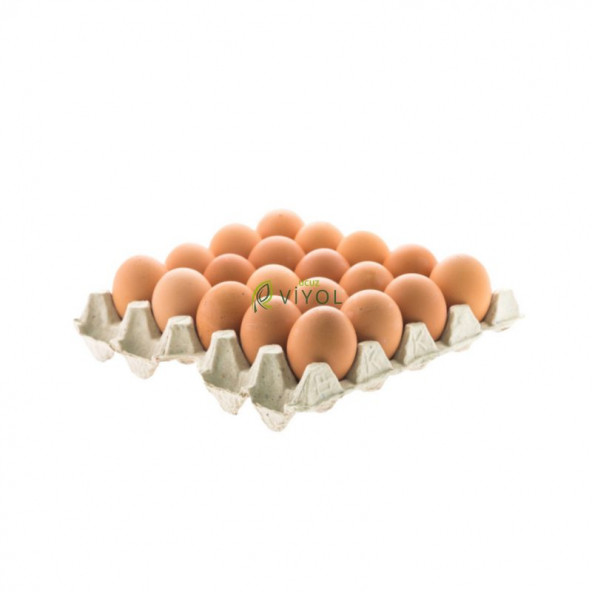 20 Lİ KARTON YUMURTA VİYOLÜ 25 LBS  (ÇİFT SARILI - ÇOK BÜYÜK YUMURTALAR İÇİN)  140 ADET - 1