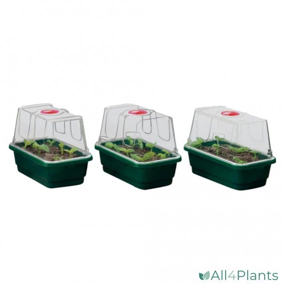 Garland High Dome Mini Sera 3 Parça Set - Resim 2
