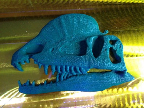 Dilophosaurus Dinazor Kafası Başı İskelet Fosil Plaketi Biblo - 1