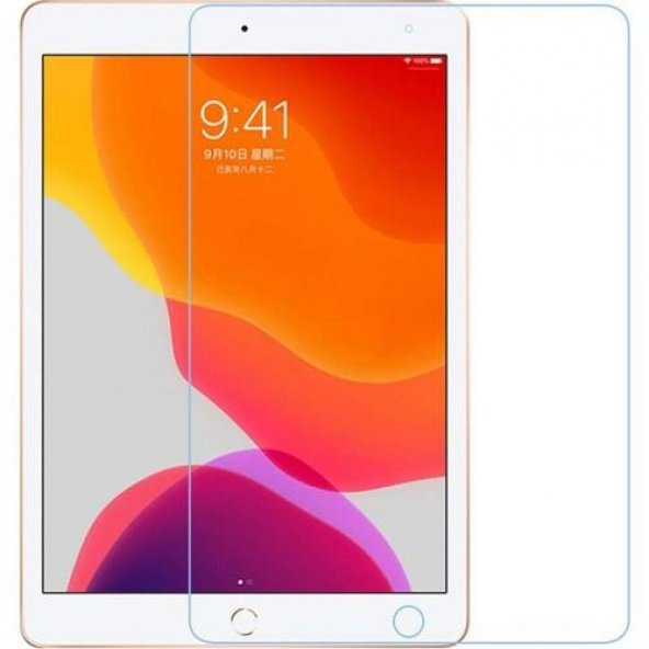 iPad 9.Nesil 10.2 Ekran Koruyucu Temperli Kırılmaz Cam - 2