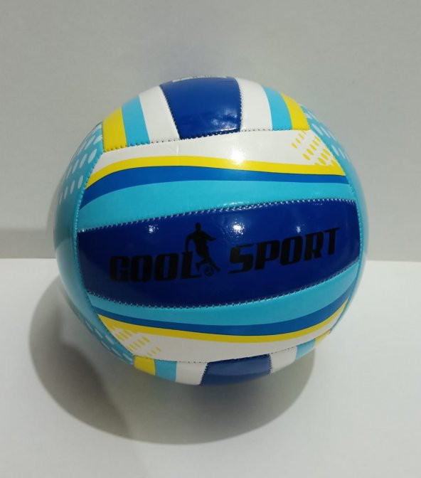 Profesyonel Voleybol Topu - 4