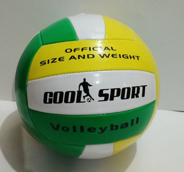 Profesyonel Voleybol Topu - 6