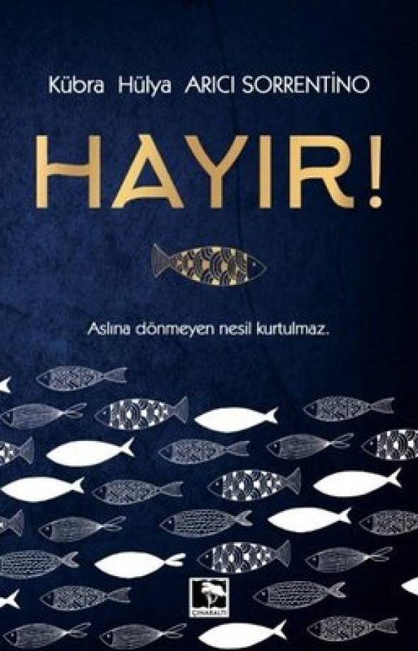 HAYIR!