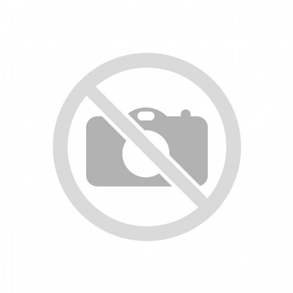 FORD CUSTOM 2018-2020 TORPİDO ÖN GÖĞÜSLÜK-54 - Resim 2