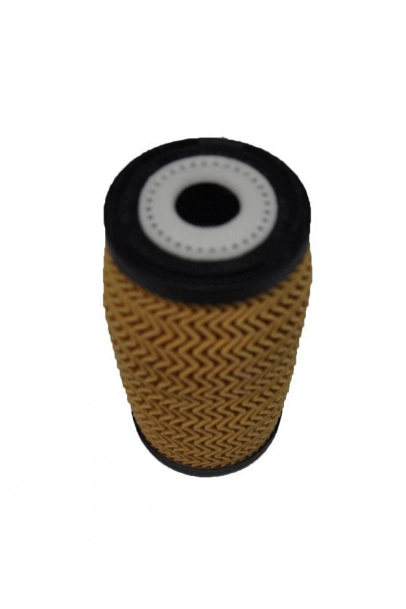 OEM 152092962R-YAĞ FİLTRESİ FLUENCE