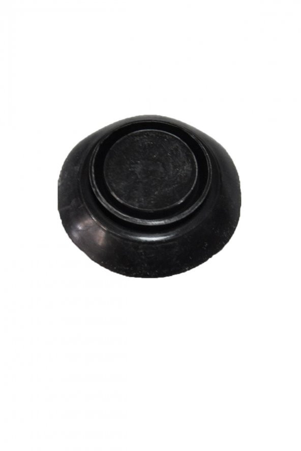 OEM 7703074613-TAPA TWINGO-FLUENCE