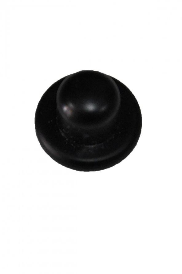 OEM 8200074531-TAPA MEGANE-FLUNCE-LAGUNA - 1