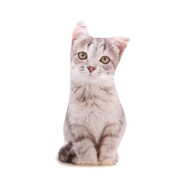 YEŞİL GÖZLÜ AÇIK KAHVE KEDİ PELUŞ YASTIK