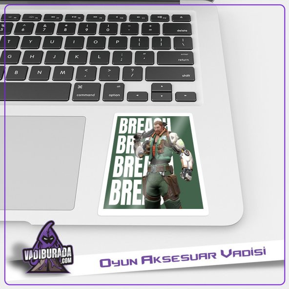 Valorant Sticker Breach M3