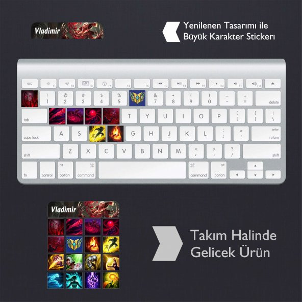 Vladimir  Klavye Sticker Set