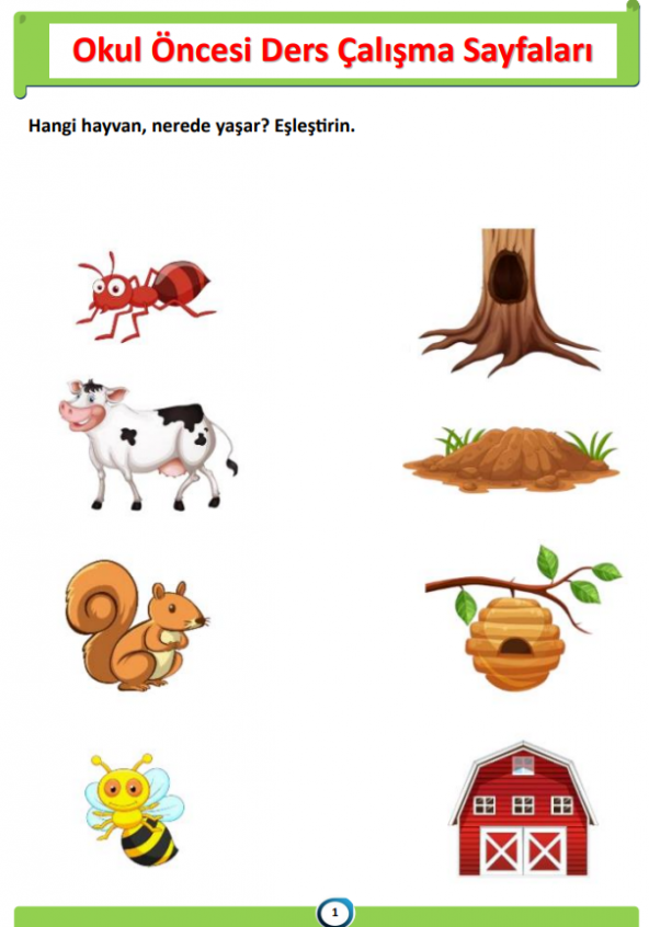 Okul Öncesi DERS Çalışma PDF Eğitim Seti - Resim 4