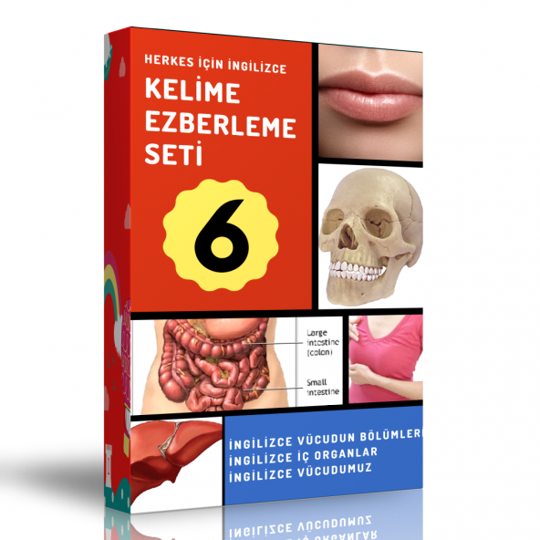 İngilizce Kelime Ezberleme Modüler Kitap Seti-6