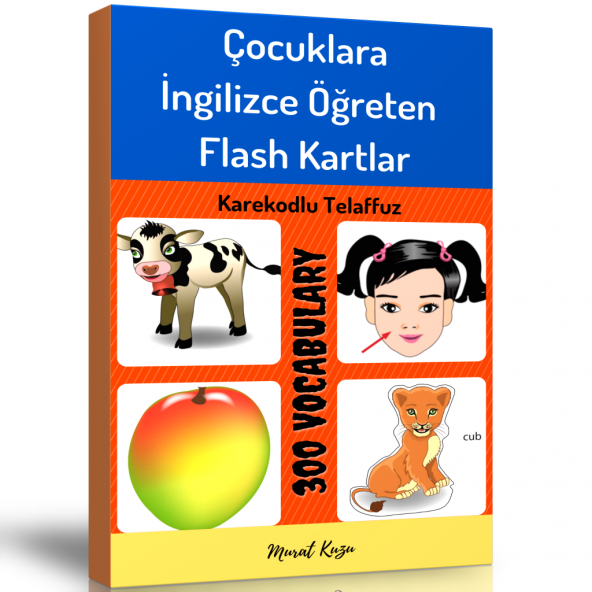 Çocuklara İngilizce Öğreten Flash Kartlar Kitap Seti (2 Kitap Spiralli)