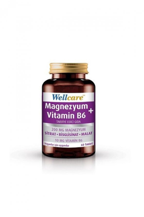 WELLCARE Magnezyum Vitamin B6 Takviye Edici Gıda 60 Tablet 8699680010250