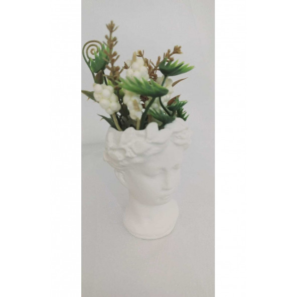 Helen Sukulent Saksı - 6