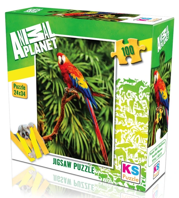 KS Puzzle 100 Parça Animal Planet Scarlet Macaw Papağan