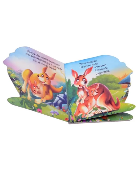 Ben Kimim? Kanguru Parıltı Yayınları - Resim 2