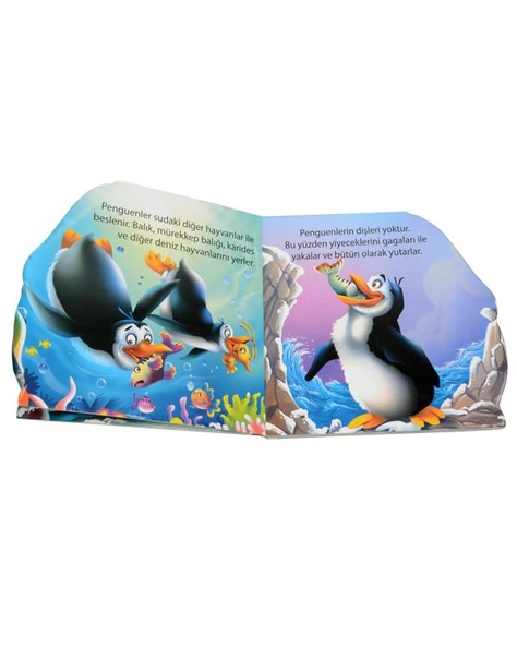 Ben Kimim? Penguen Parıltı Yayınları - Resim 2