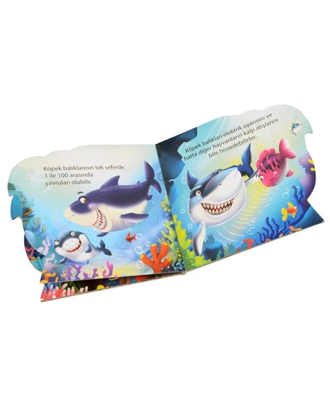 Ben Kimim? Köpek Balığı Parıltı Yayınları - Resim 2