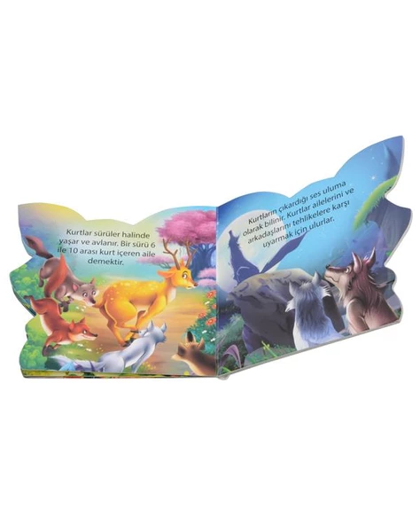 Ben Kimim? Kurt Parıltı Yayınları - Resim 2