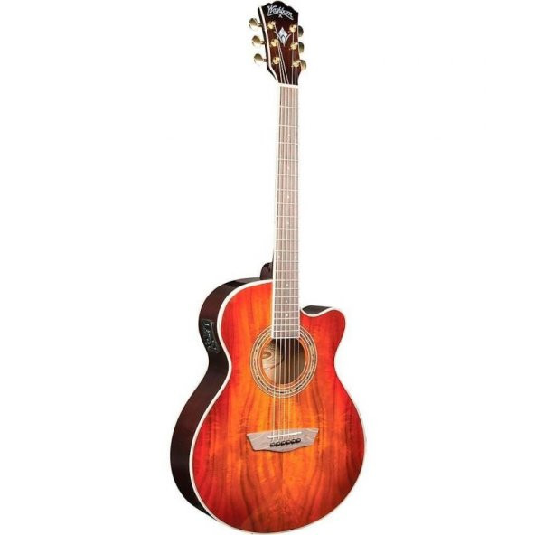 Washburn EA55G Festival Elektro Akustik Gitar ürün görseli 1