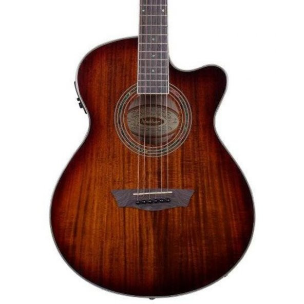 Washburn EA55G Festival Elektro Akustik Gitar - Resim 2