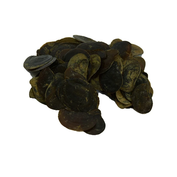 Cin Tırnağı 100 Gr Paket ürün görseli 1