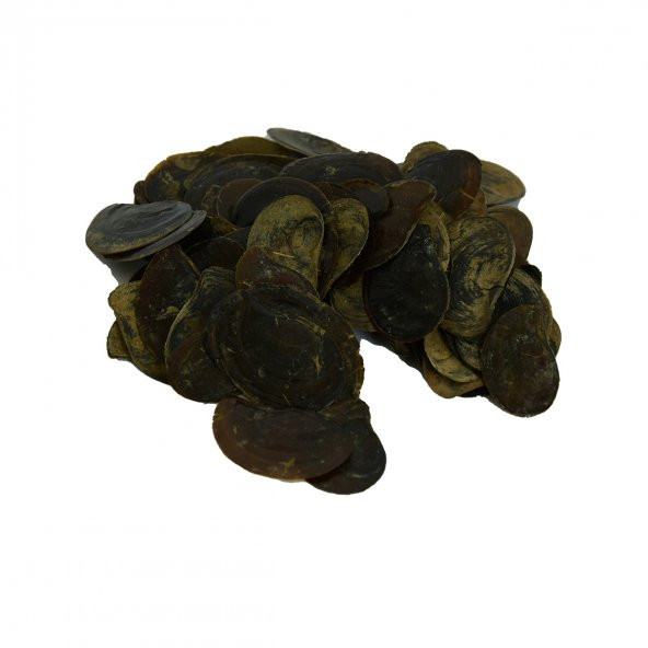 LokmanAVM Cin Tırnağı 100 Gr Paket - 5