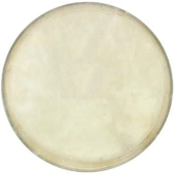 Cox Bongo Derisi (7.5\") DER-B-75 - Resim 2