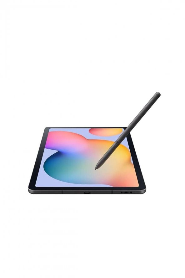 Samsung Galaxy Tab S6 Lite Gri SM-P610 64 GB 10.4 - 3