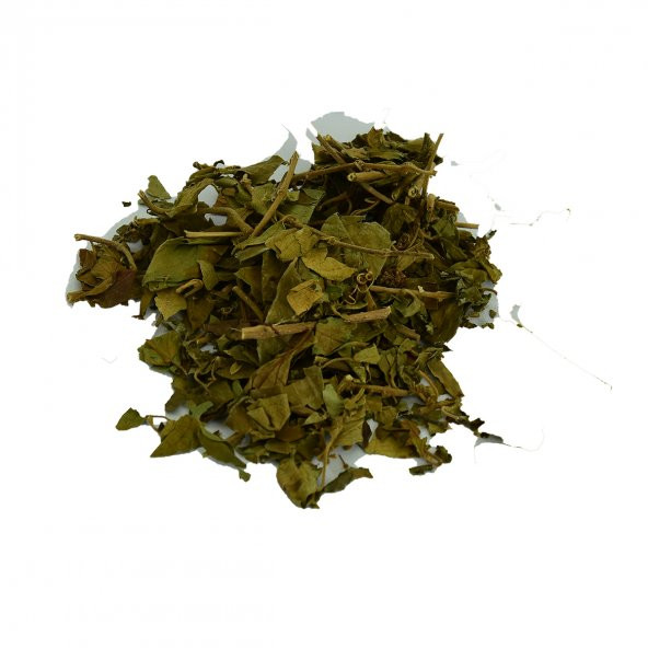 LokmanAVM Cinnema Gurmar Otu Gymnema Sylvestr 100 Gr Paket - 5