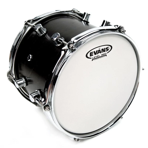 EVANS B12G12 - 2
