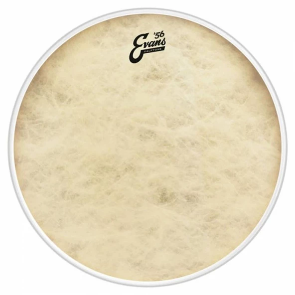 EVANS BD22CT