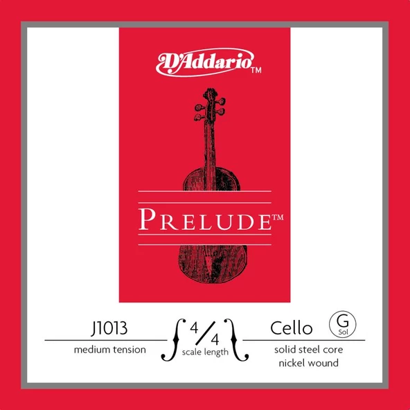 DADDARIO J1013 4/4M