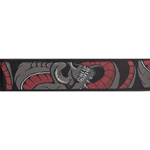 PLANETWAVES 50D02 ürün görseli 1