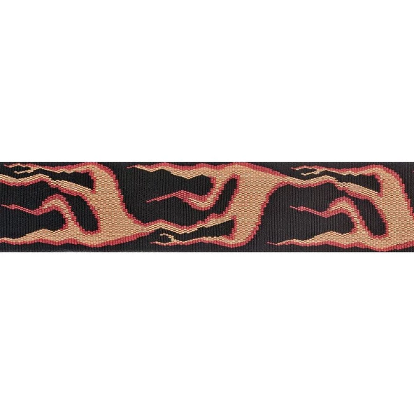 PLANETWAVES 50F01 ürün görseli 1