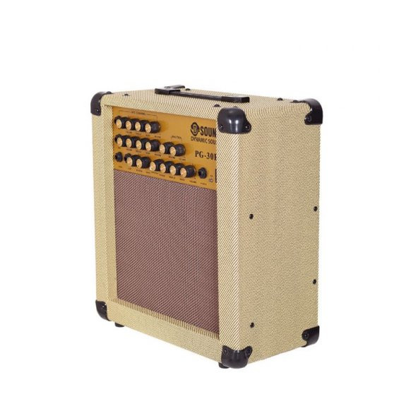 D-SOUND PG-30R ENSTRUMAN ANFİSİ ürün görseli 1