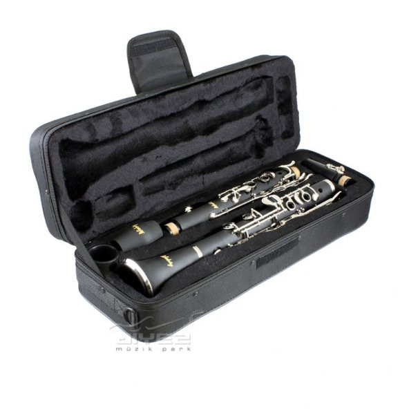 Lichtenberg XCL302-A Sol Klarnet (Türk Müziği Göre Tam Akordludur) - 2