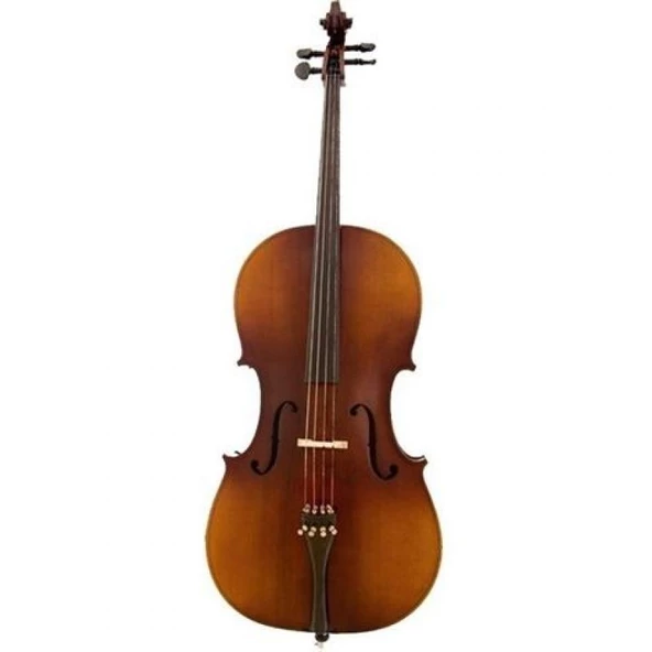 VANETTA WN-21 3/4 Masif Ağaç Abanoz Aksam Çello - 2