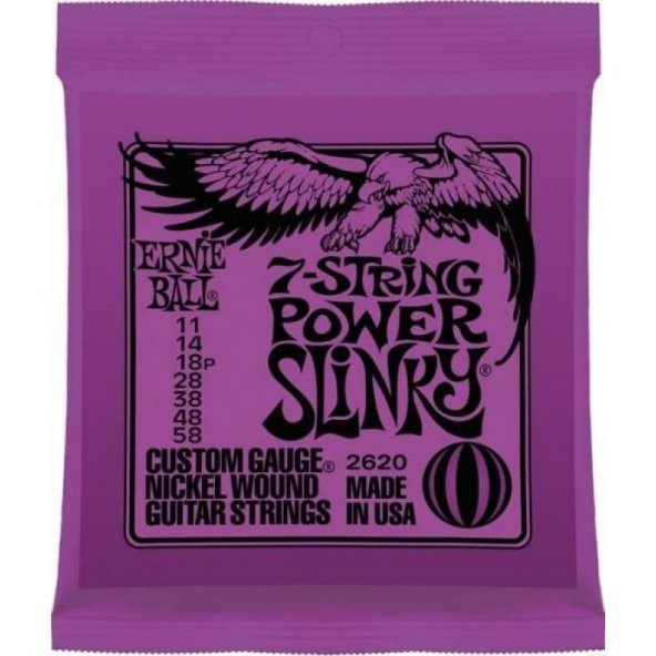 Ernie Ball P02620 Elektro Gitar Teli ürün görseli 1