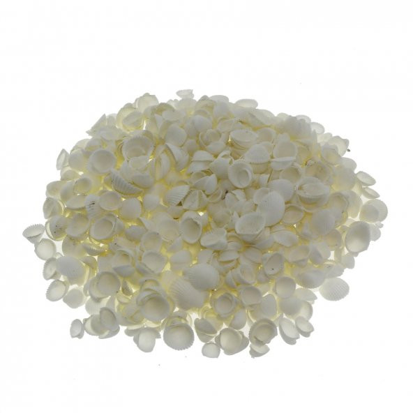 100gr. Mini Clam Rose Deniz Kabuğu
