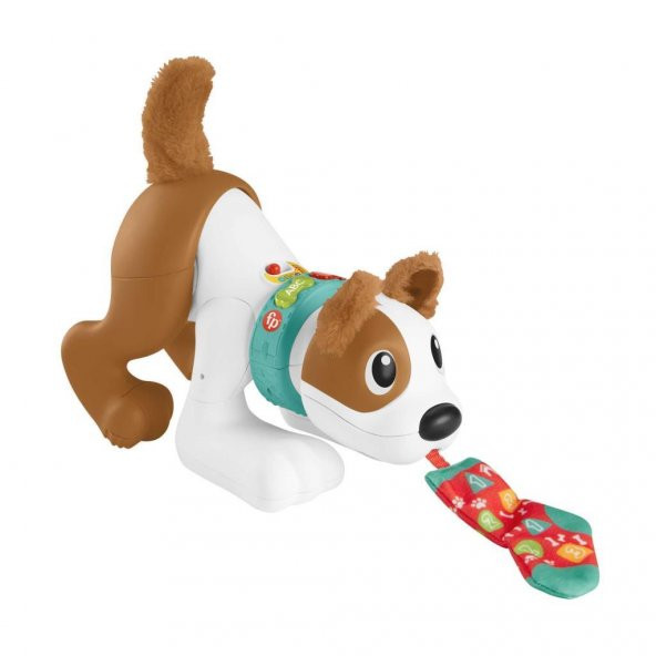 Fisher-Price Lisanslı Oyuncak  Emeklemeyi ve Saymayı Öğreten Köpekçik - Türkçe seri, eğitici içerikleriyle müzikli emekleme oyuncağı elektronik köpek HHH13