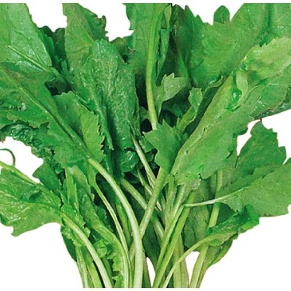 Tere Tohumu 10 gr Paket ürün görseli 1