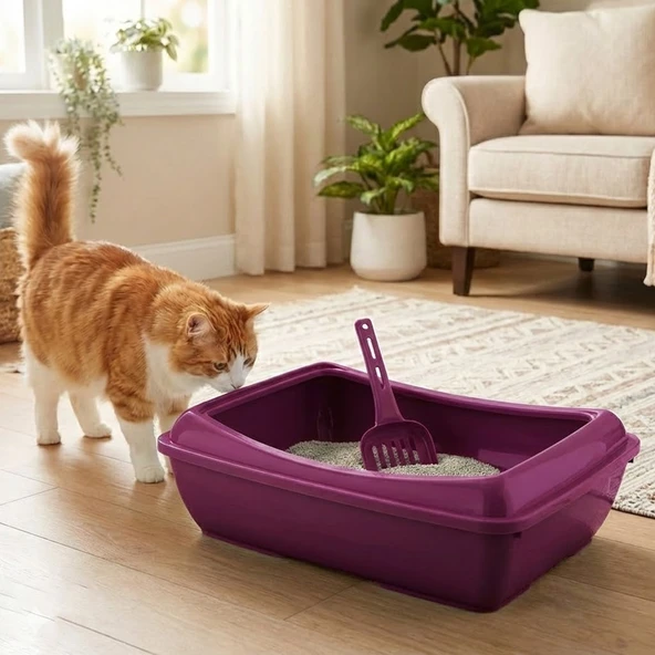 Bvlx Açık Kedi Tuvaleti Kürek Hediyeli - Resim 3