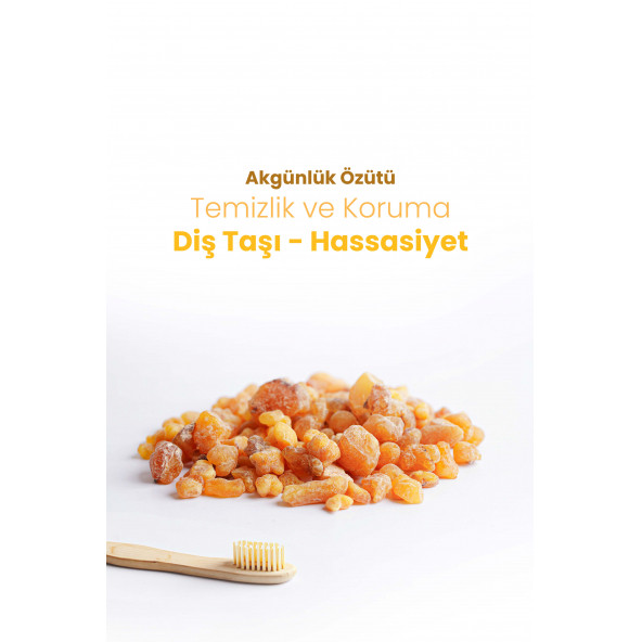 Probident Aktif Probiyotikli Akgünlük Özüt Ilaveli 3'lü Paket - 3