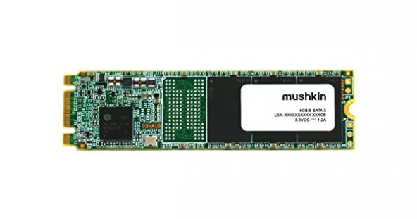 Mushkin Source M.2 Sata 1TB SSD 560MB-520MB/s Okuma/Yazma (MKNSSDSR1TB-D8)