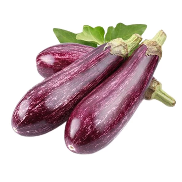 Yamula Çizgili Alacalı Patlıcan Tohumu 10 gr Paket ürün görseli