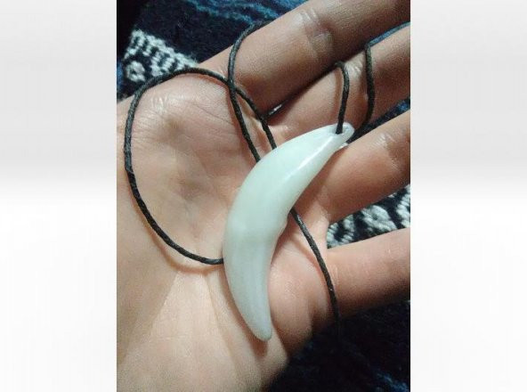 Wolf Fang Kolye ( 3D-Scan Kompozit) Plastik Aparat