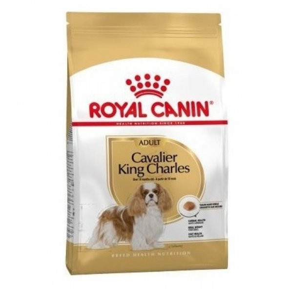 Royal Canin Cavalier King Charles 27 Yetişkin Köpek Maması 3 kg 3182550777698