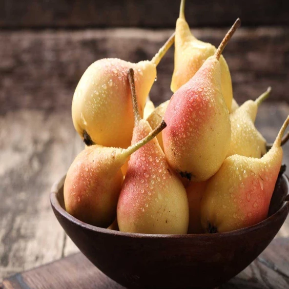 Tüplü, Aşılı, JUNE GOLD / Haziran Altını Armut Fidanı - Resim 2